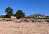 Xalet independent amb terreny en venda a la España, Novelda, ref.: TR300904 foto