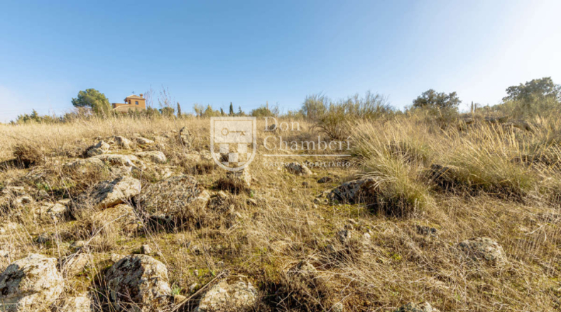 Toledo - Toledo - 7500m2