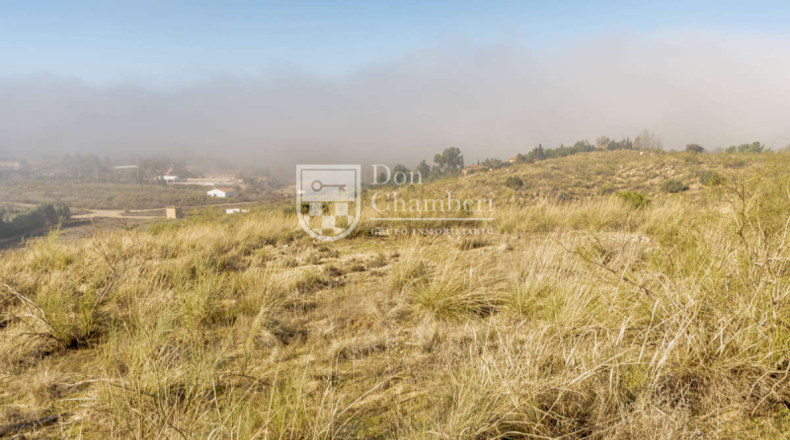 Toledo - Toledo - 7500m2