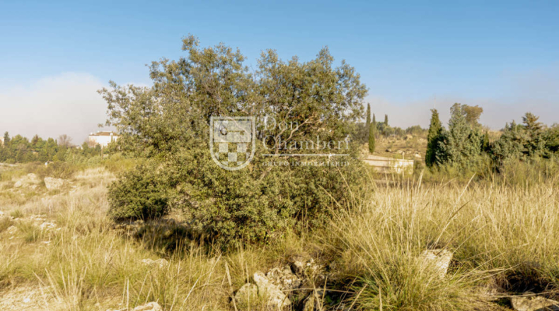 Toledo - Toledo - 7500m2