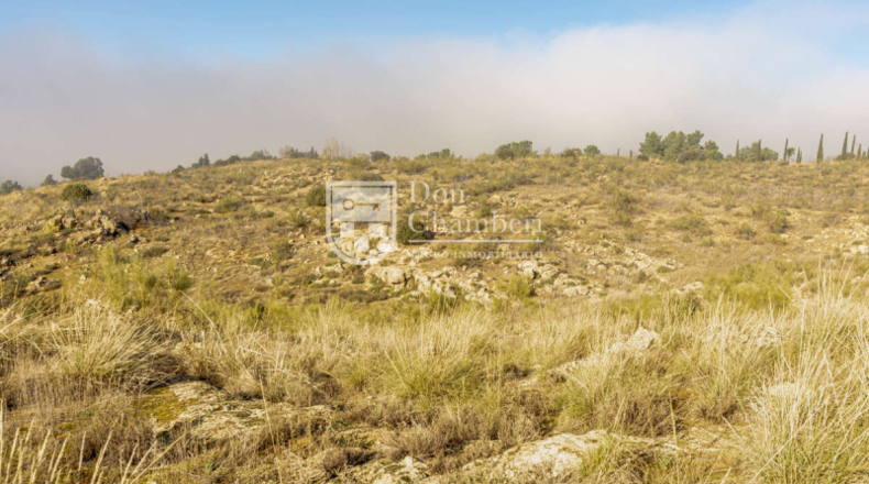 Toledo - Toledo - 7500m2