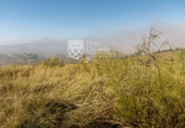 Sòl urbà en venda a la España, Toledo, ref.: TR128868 foto