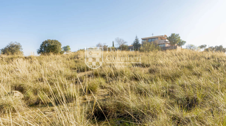 Toledo - Toledo - 7500m2