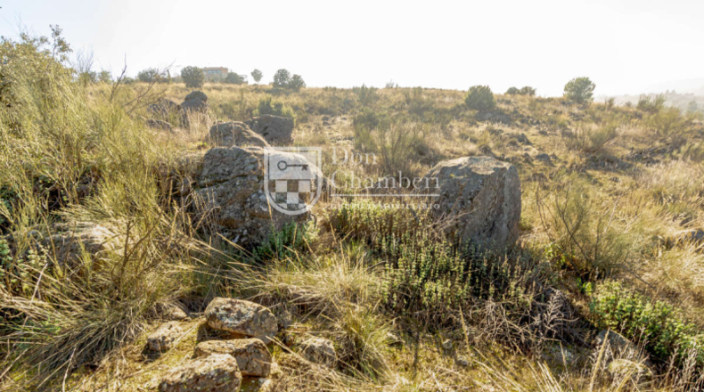 Toledo - Toledo - 7500m2
