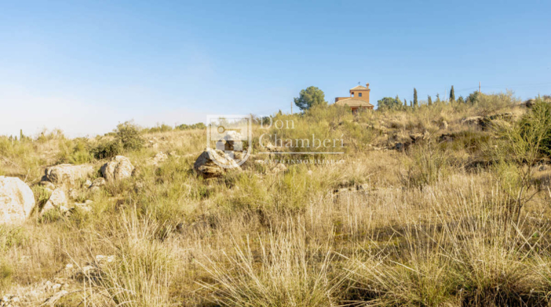 Toledo - Toledo - 7500m2