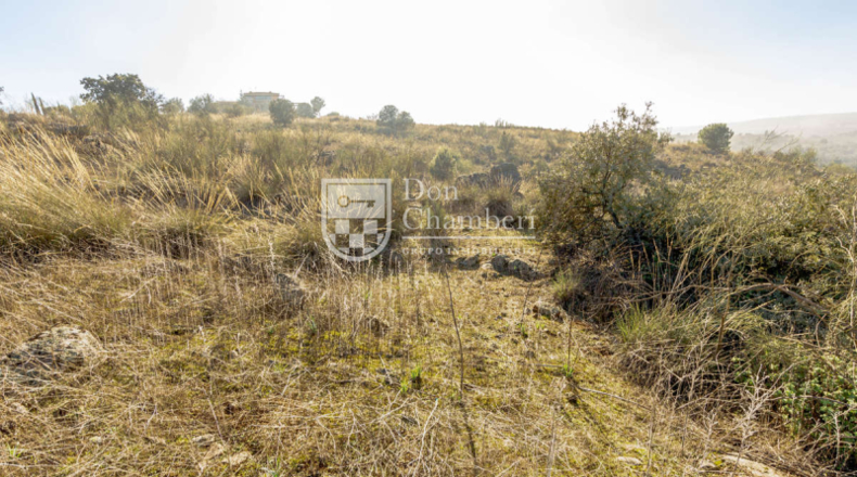 Toledo - Toledo - 7500m2