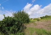 Land suitable for development for sale on España, Murcia, ref: TR348209 photo