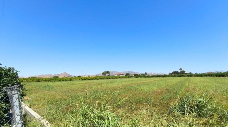 Murcia - Murcia - 2370m2