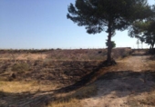 Parcel·la urbanitzable en venda a la España, Múrcia, ref.: TR123599 foto