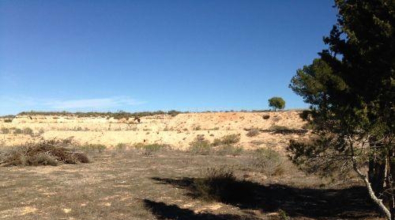 Múrcia - Murcia - 5600m2
