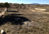 Parcel·la urbanitzable en venda a la España, Múrcia, ref.: TR123599 foto