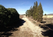 Parcel·la urbanitzable en venda a la España, Múrcia, ref.: TR123599 foto