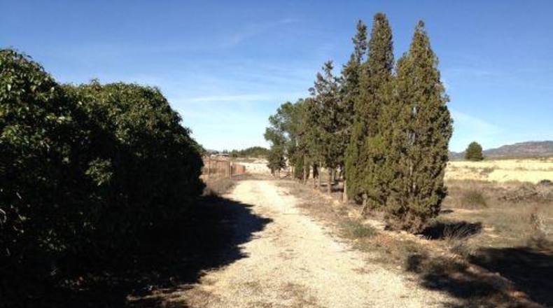 Múrcia - Murcia - 5600m2