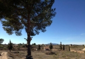Parcel·la urbanitzable en venda a la España, Múrcia, ref.: TR123599 foto