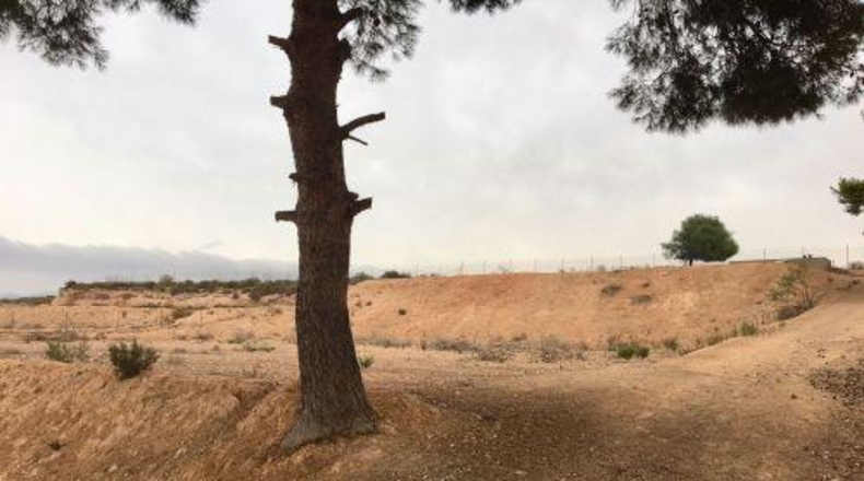 Múrcia - Murcia - 5600m2