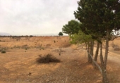 Parcel·la urbanitzable en venda a la España, Múrcia, ref.: TR123599 foto