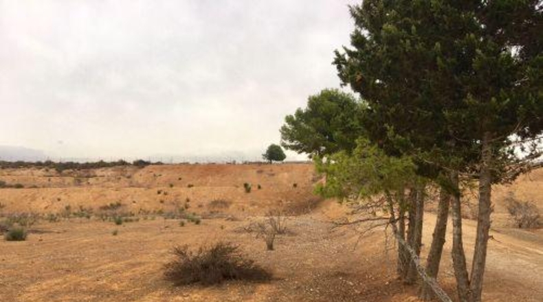Múrcia - Murcia - 5600m2