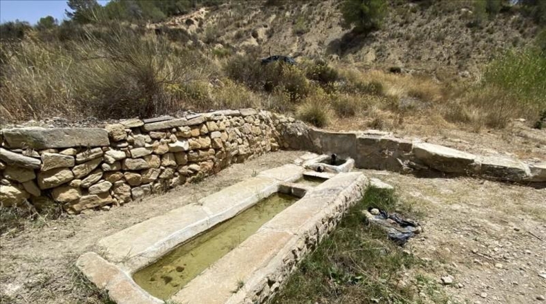 Murcia - Jumilla - 57104m2