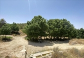 Non-developable land for sale on España, Fortuna, ref: TR328407 photo