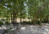 Non-developable land for sale on España, Fortuna, ref: TR328407 photo