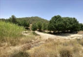 Non-developable land for sale on España, Fortuna, ref: TR328407 photo