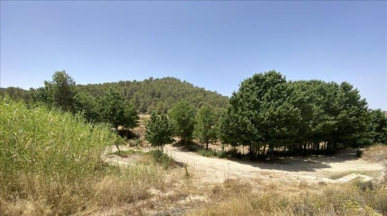 Murcia - Jumilla - 57104m2