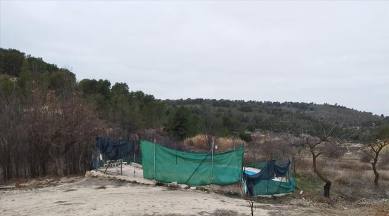 Murcia - Jumilla - 57104m2