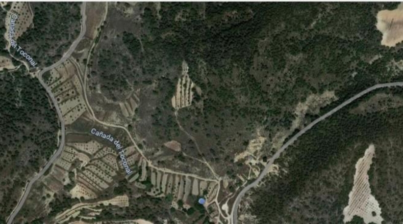 Murcia - Jumilla - 57104m2