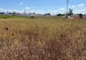 Terreny no urbanitzable en venda a la España, Chiclana de la Frontera, ref.: TR327936 foto