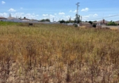 Terreny no urbanitzable en venda a la España, Chiclana de la Frontera, ref.: TR327936 foto