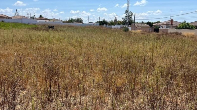 Cádiz - Chiclana de la Frontera - 3000m2