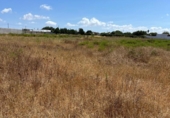 Terreny no urbanitzable en venda a la España, Chiclana de la Frontera, ref.: TR327936 foto