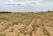 Non-developable land for sale on España, Almansa, ref: TR248316 photo