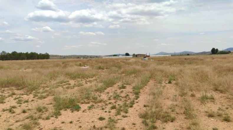 Albacete - Almansa - 21800m2