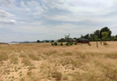Non-developable land for sale on España, Almansa, ref: TR248316 photo