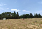 Non-developable land for sale on España, Almansa, ref: TR248316 photo