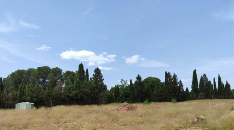 Albacete - Almansa - 21800m2
