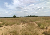 Non-developable land for sale on España, Almansa, ref: TR248316 photo