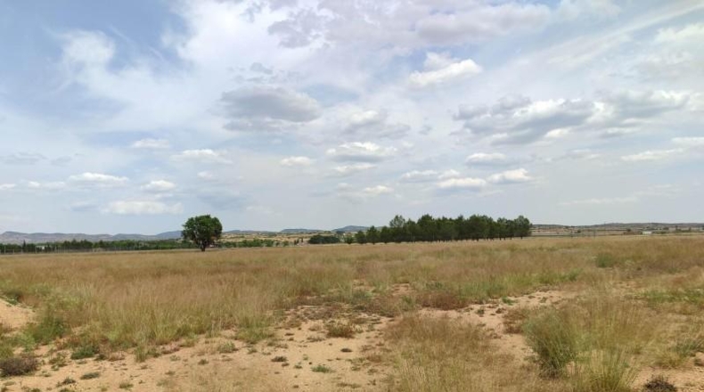 Albacete - Almansa - 21800m2