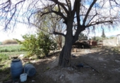 Suelo urbano en venta en la España, Molina de Segura, ref: TR114542 foto