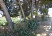 Suelo urbano en venta en la España, Molina de Segura, ref: TR114542 foto
