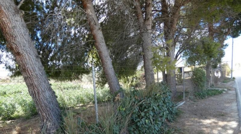 Múrcia - Molina de Segura - 3700m2