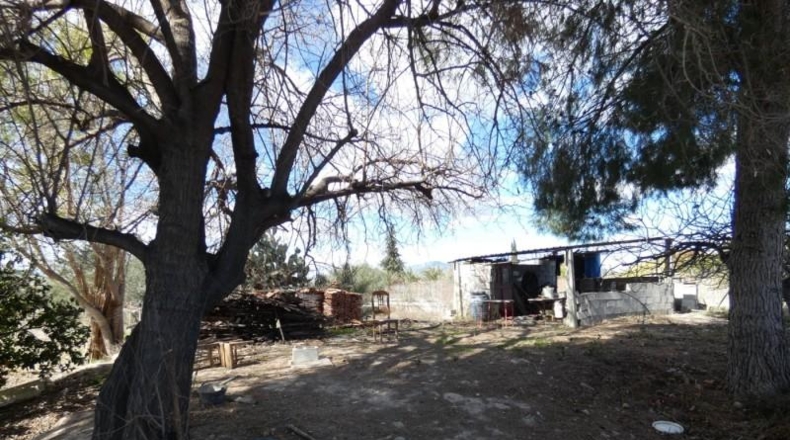Múrcia - Molina de Segura - 3700m2