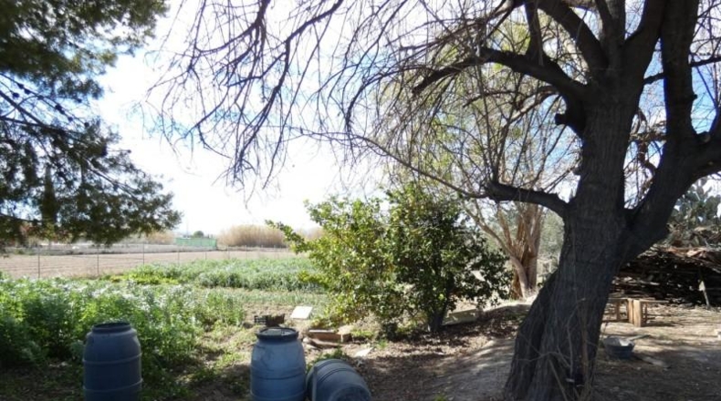 Múrcia - Molina de Segura - 3700m2