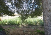 Suelo urbano en venta en la España, Molina de Segura, ref: TR114542 foto