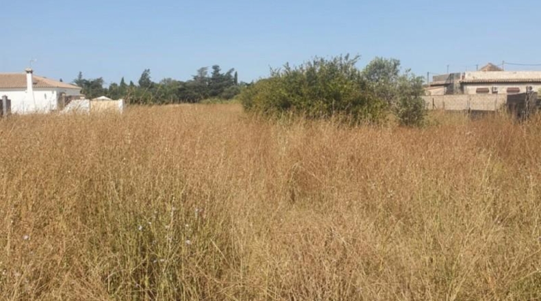 Cádiz - Chiclana de la Frontera - 4462m2