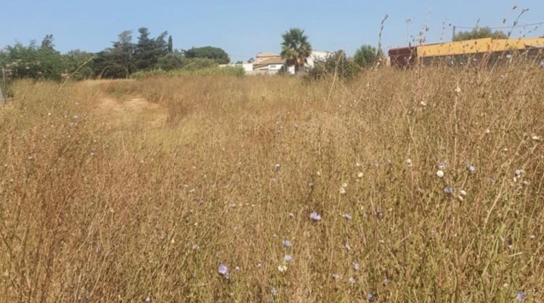 Cádiz - Chiclana de la Frontera - 4462m2