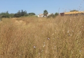 Земля на продажу у города Chiclana de la Frontera Фото