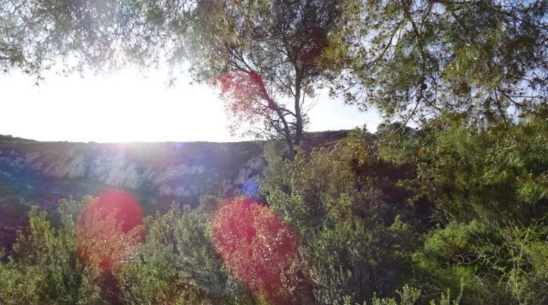 València - Cullera - 575m2
