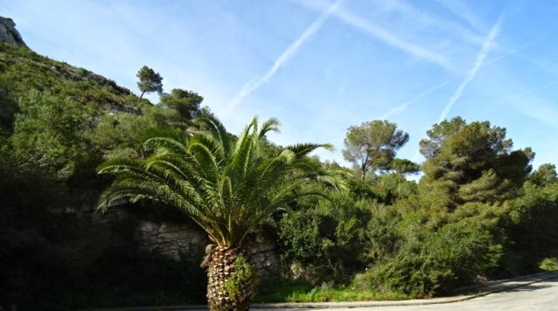València - Cullera - 575m2